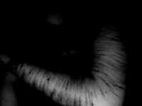 /album/pulsos-cortados/tumblr-mcpsuj4jlt1qlykjio1-500-jpg/